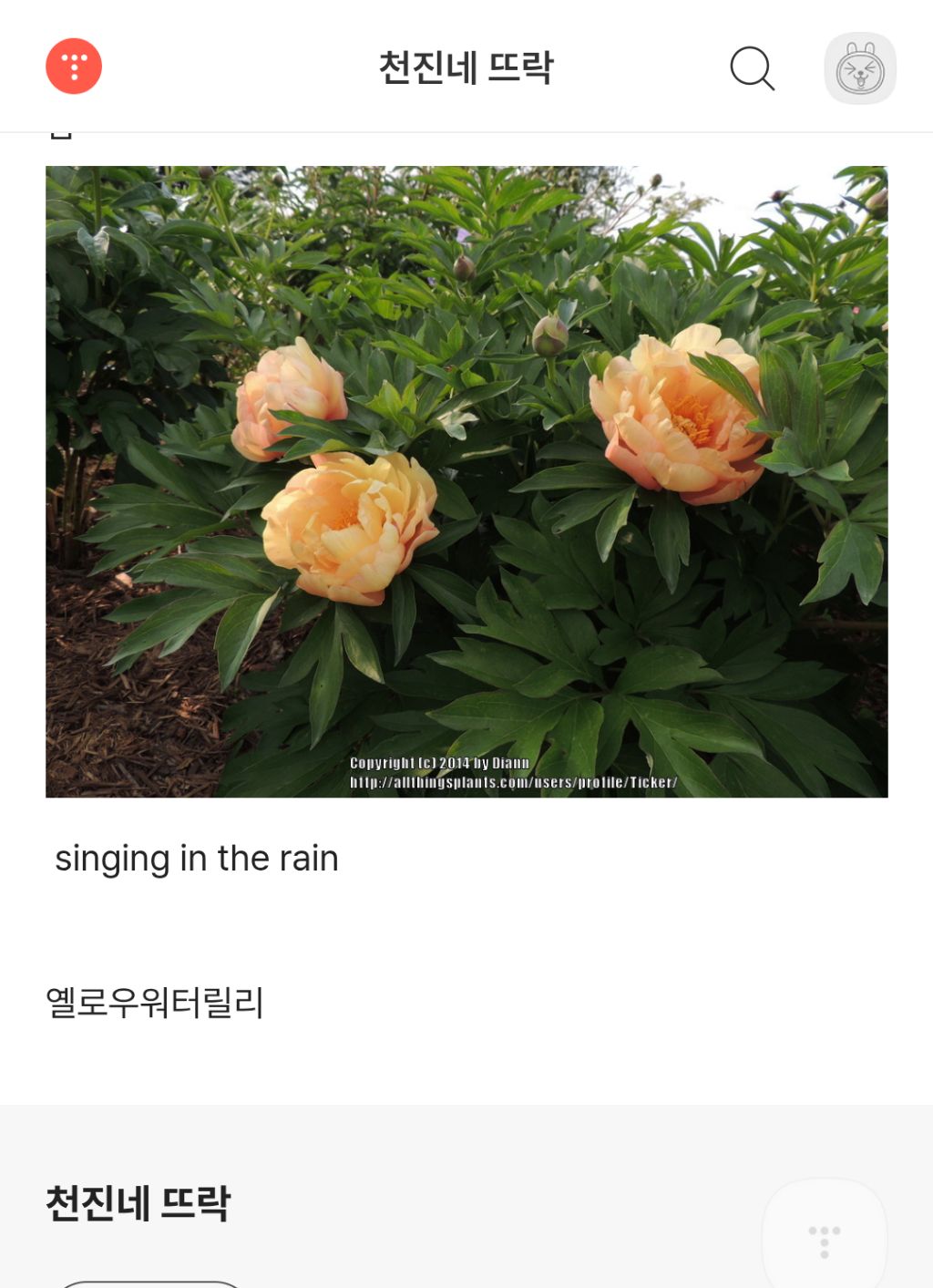 아이리스 이미지