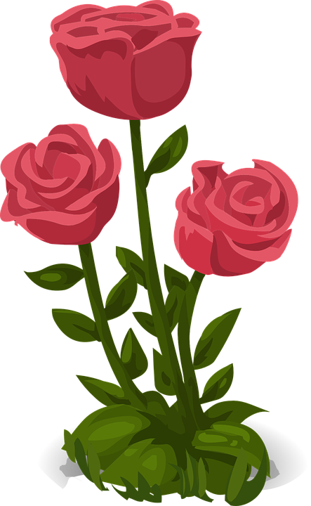 RoseDay 이미지