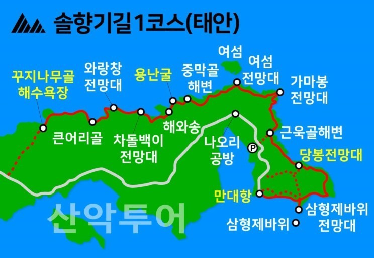 솔향기 이미지