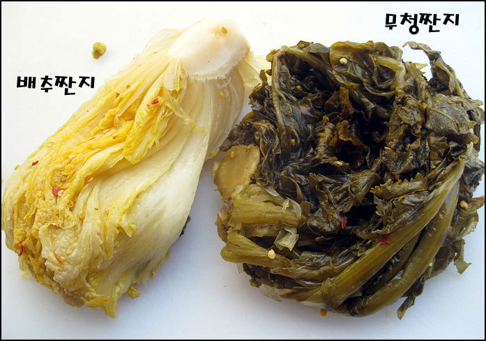 짠지네 이미지
