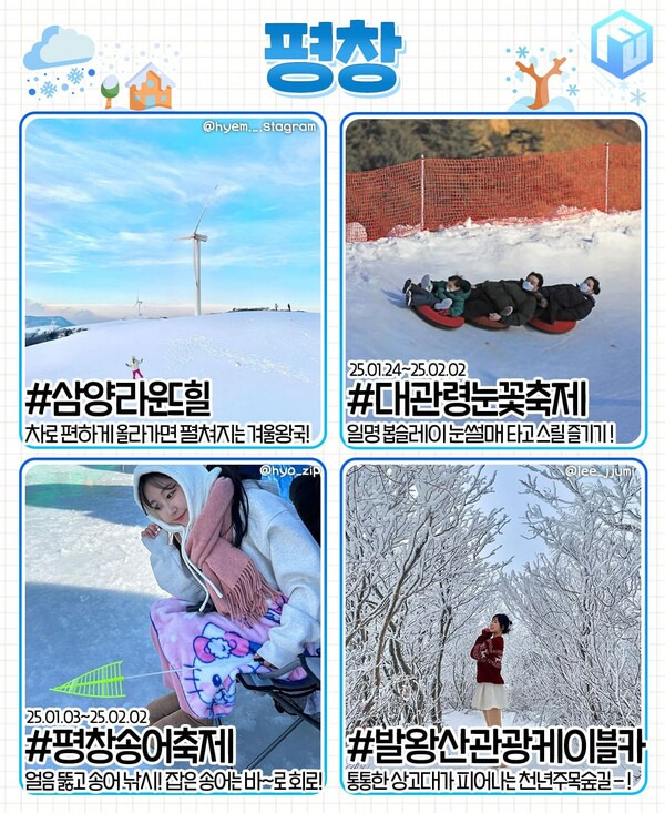 대관령톡톡 이미지