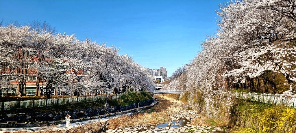 수양 이미지