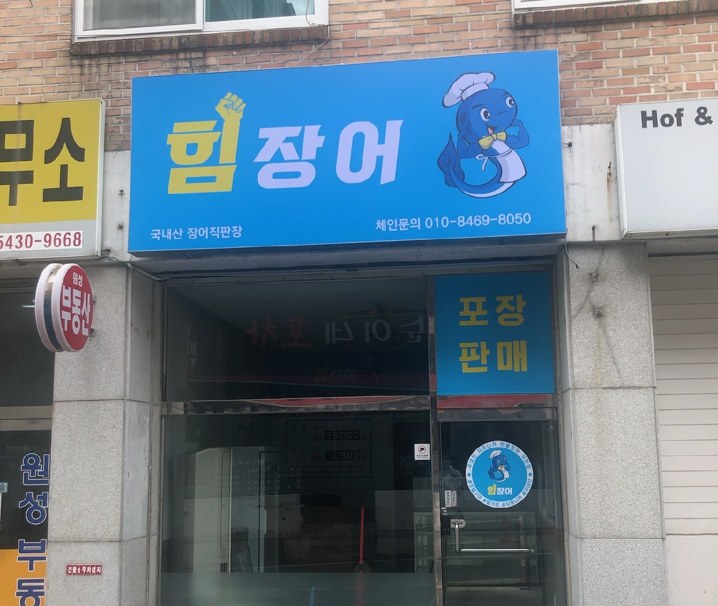 힘장어 이미지