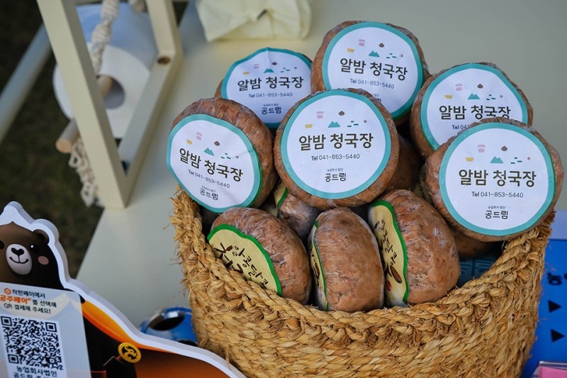 공드림 이미지