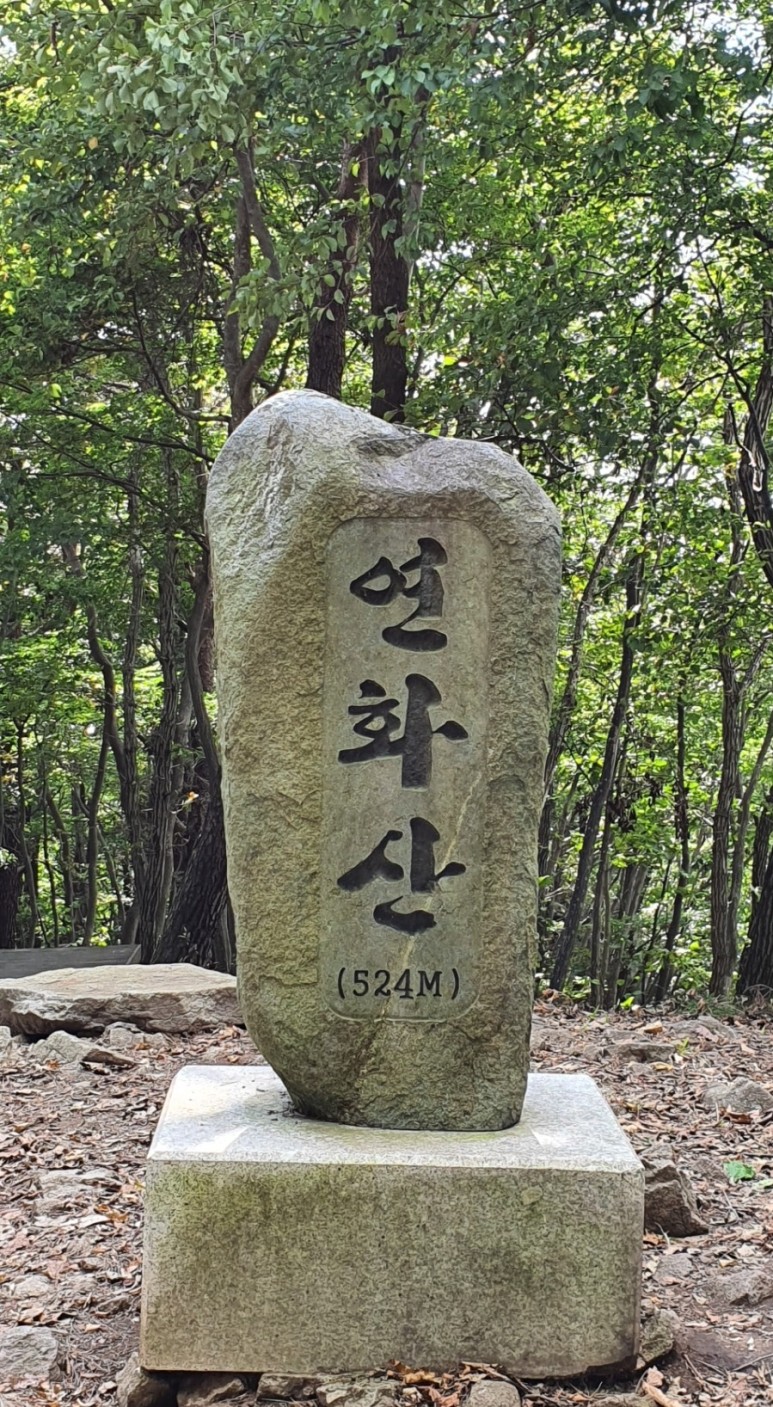 대운안전 이미지