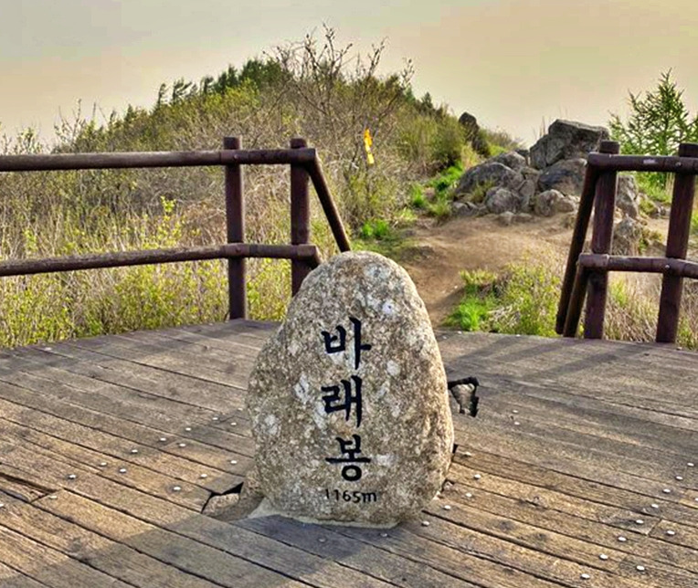 대운안전 이미지