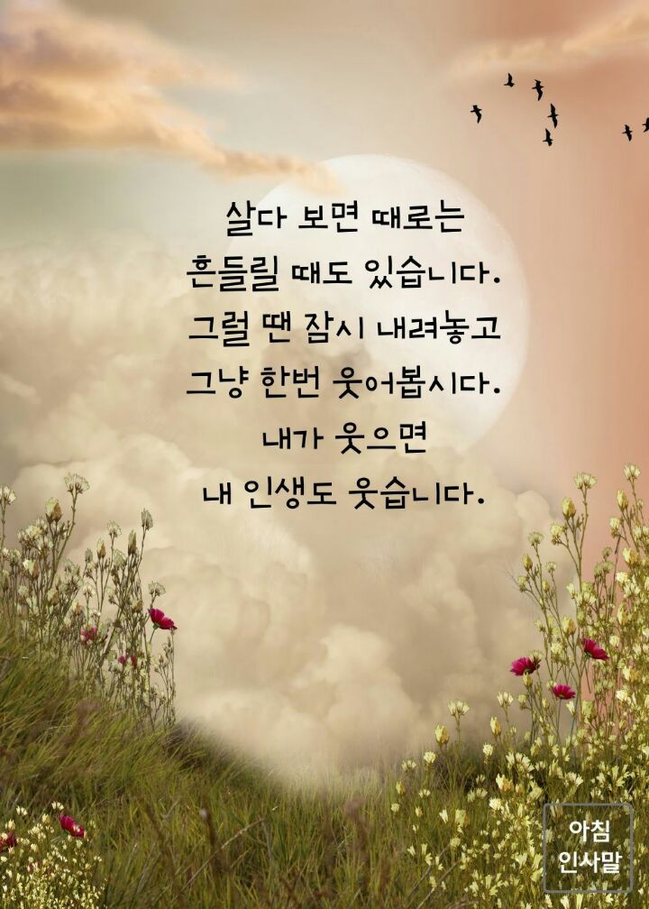 고어저스 이미지