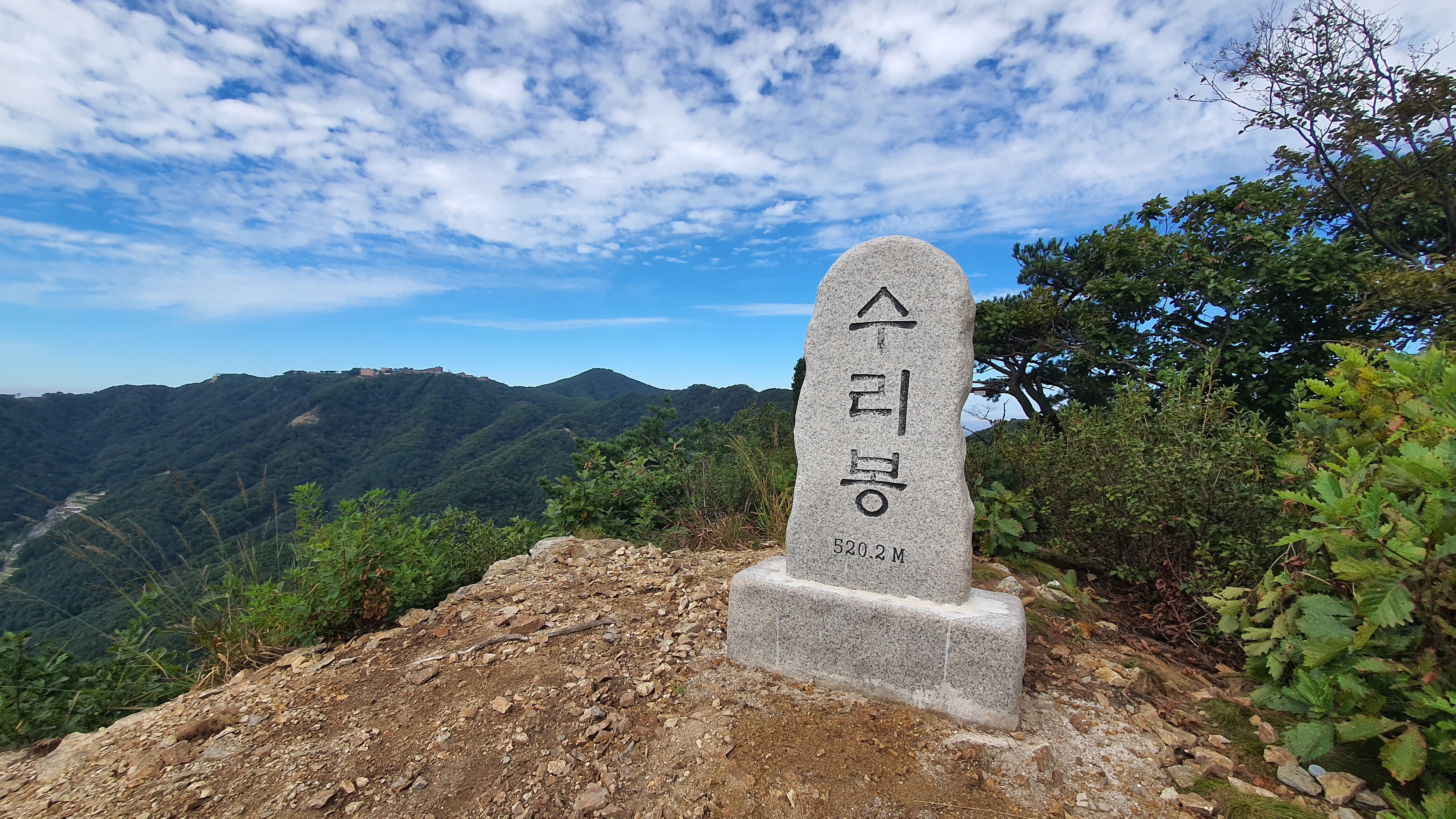 앵무봉 이미지