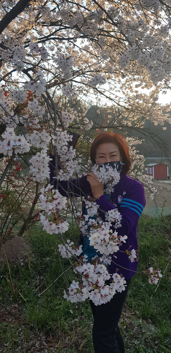 연안쭈꾸미 이미지