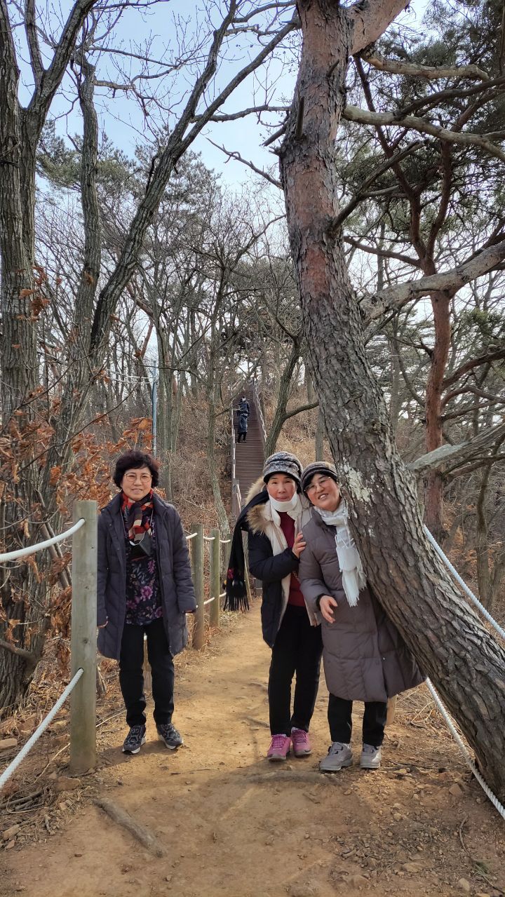 동화숲 이미지
