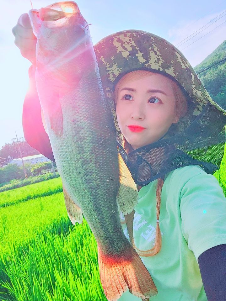 앙스분식 이미지