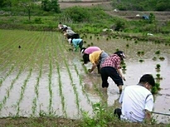 아！옛날 이미지