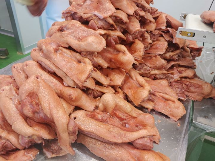 주오리 이미지