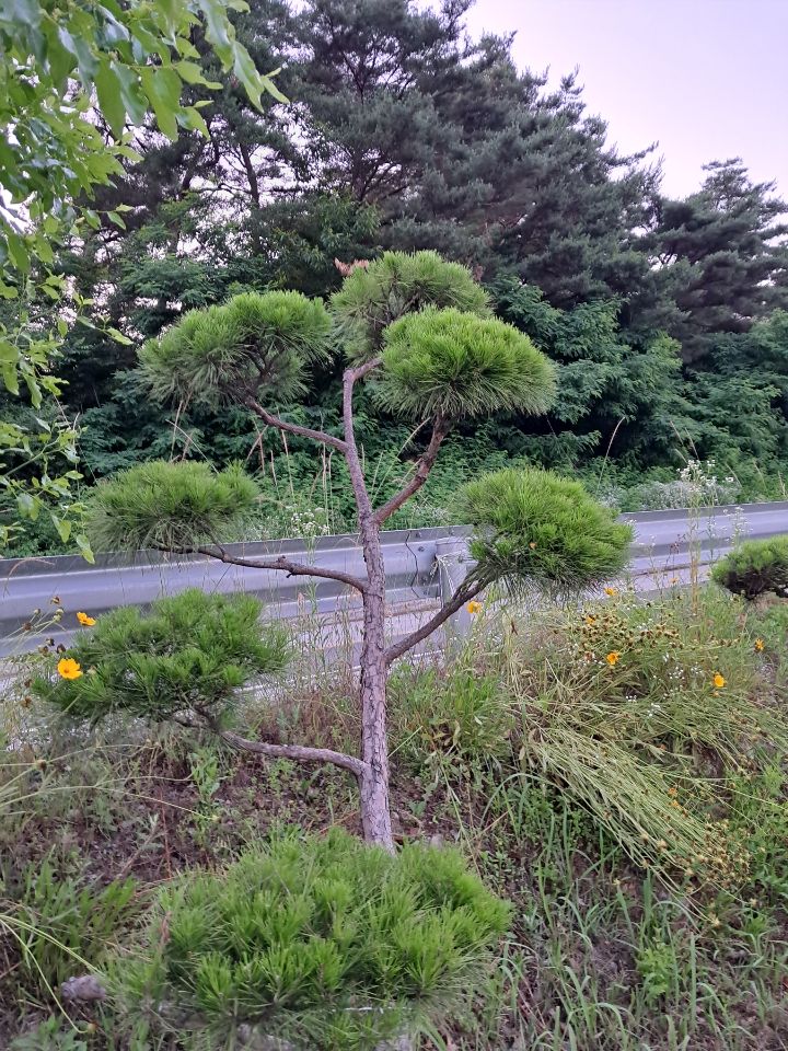 시골반찬 이미지