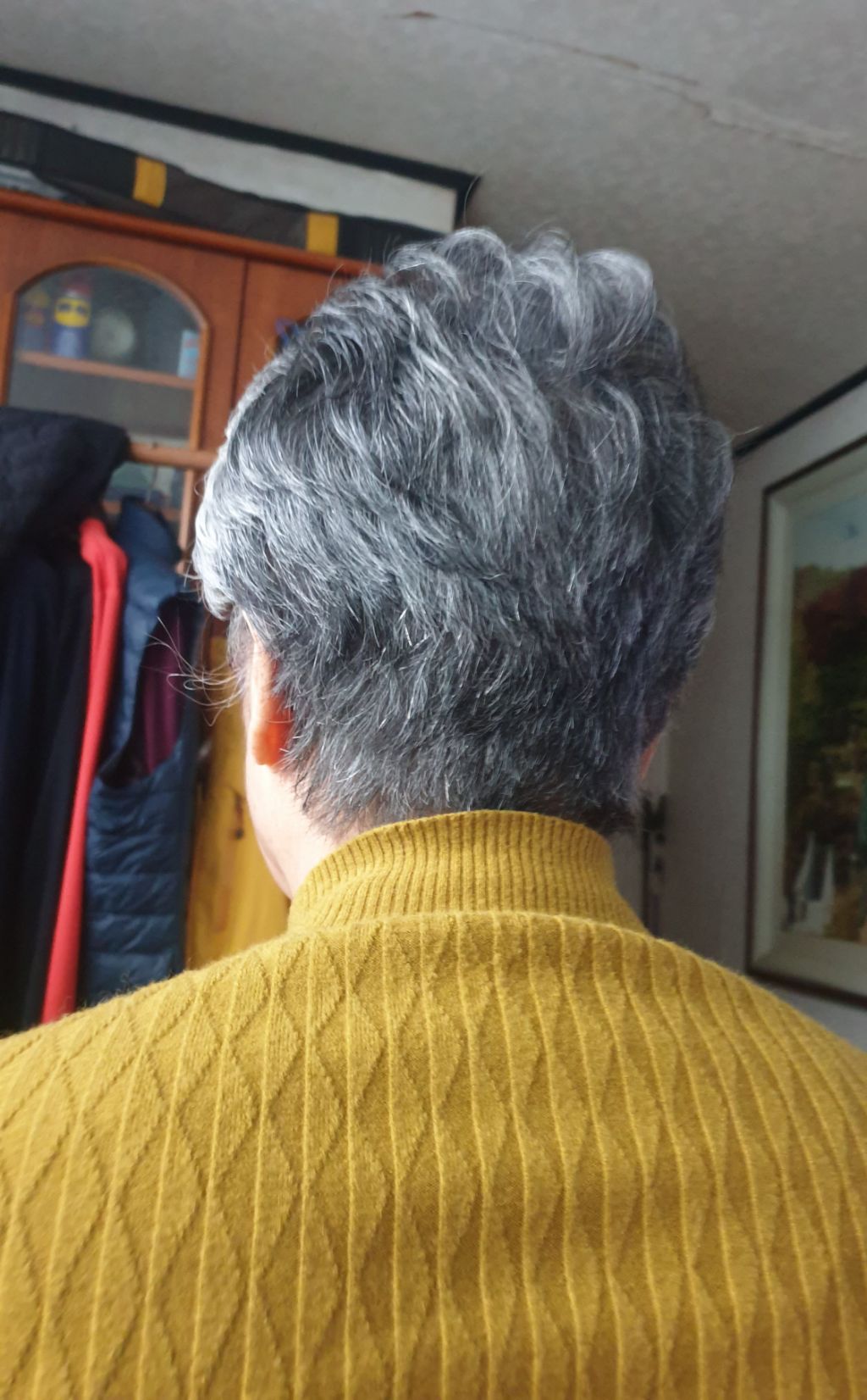 천연머리염색 이미지
