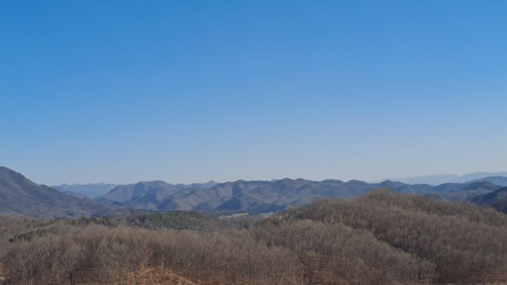 동태매운탕 이미지