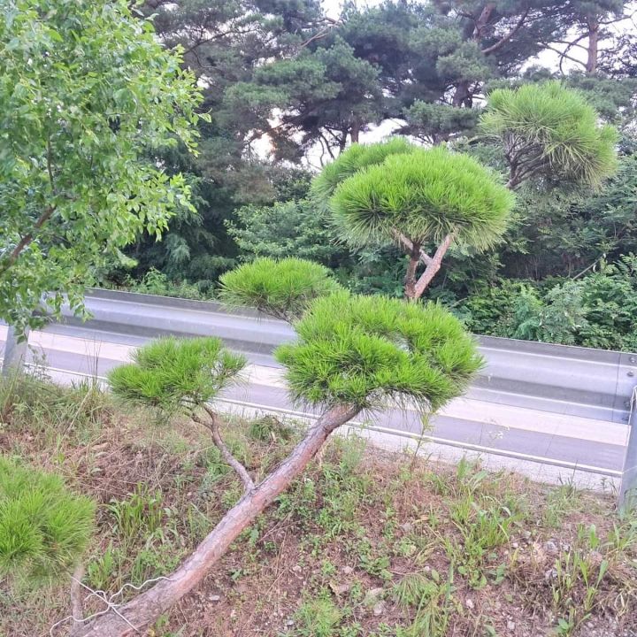 시골반찬 이미지