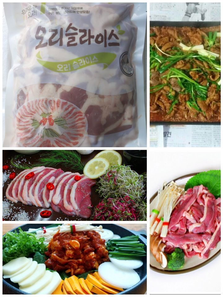 싱싱오리 이미지
