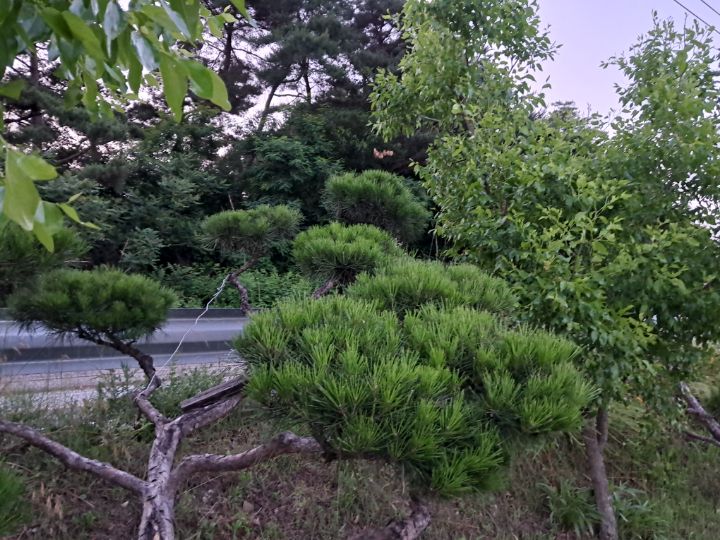 시골반찬 이미지