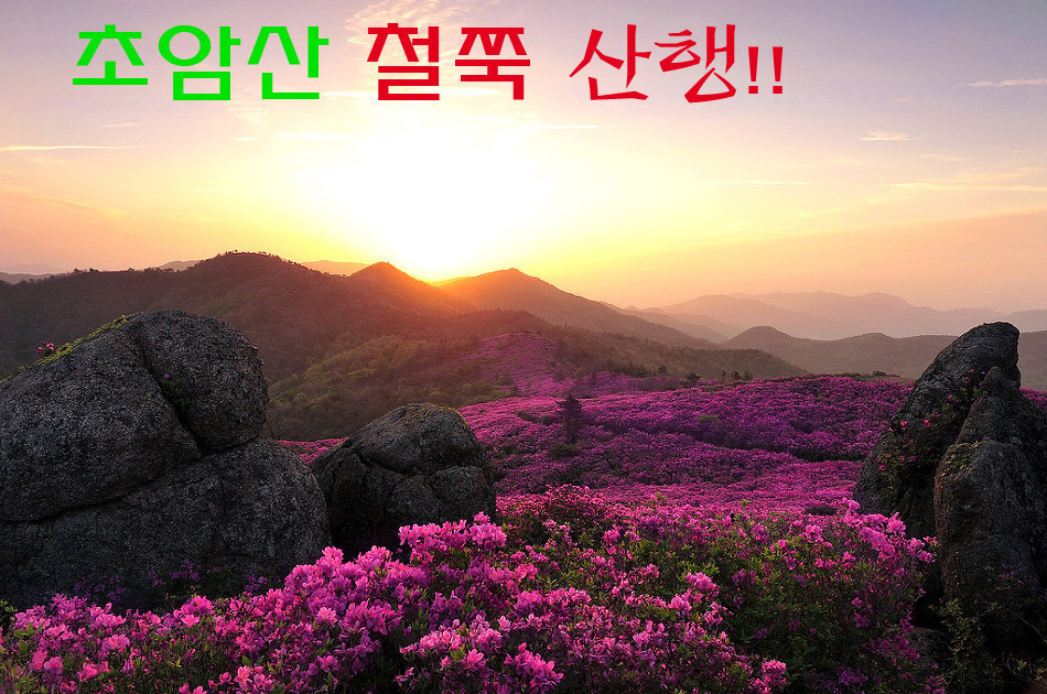 산철죽 군락지 이미지