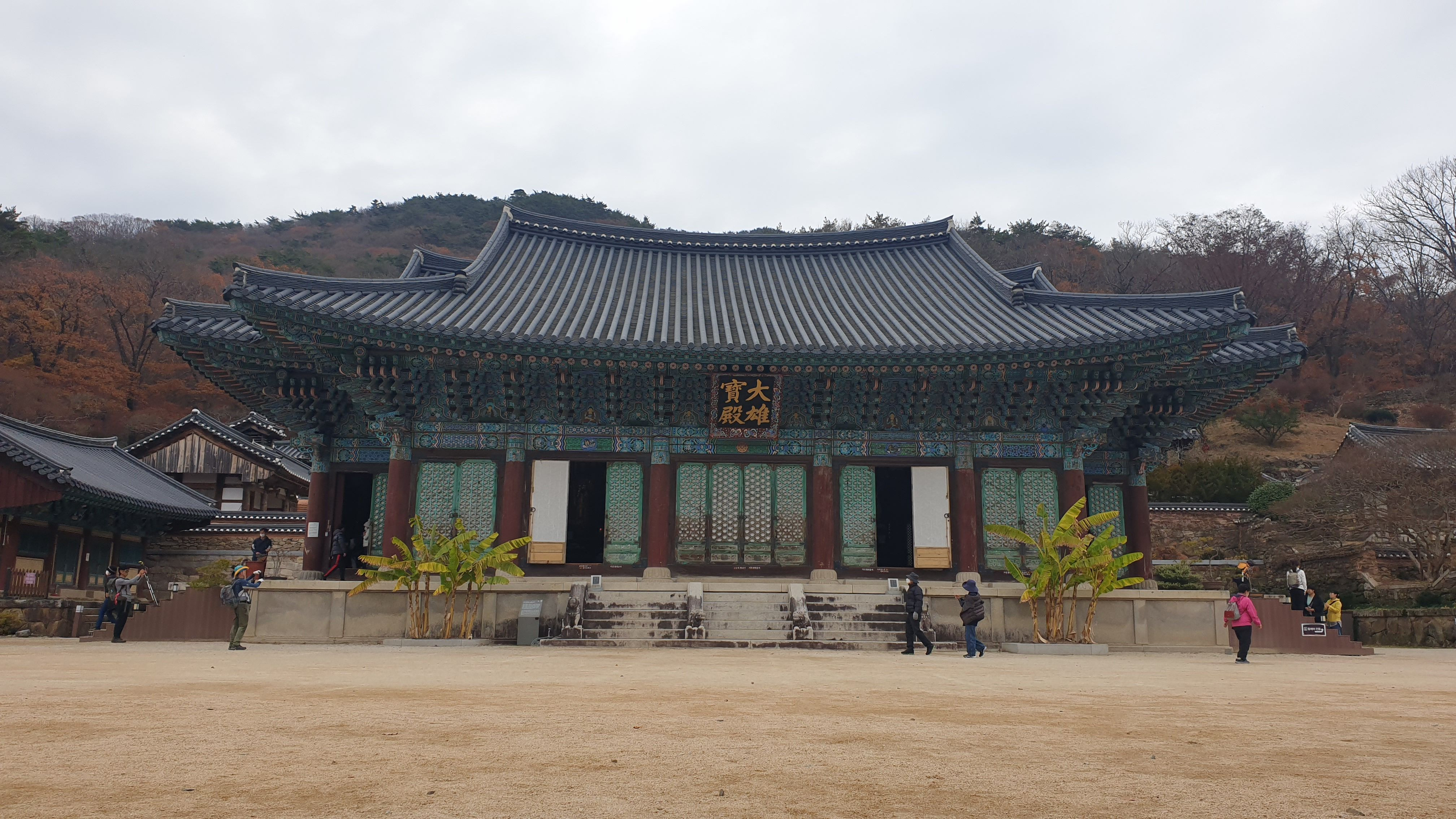 대신지물 이미지