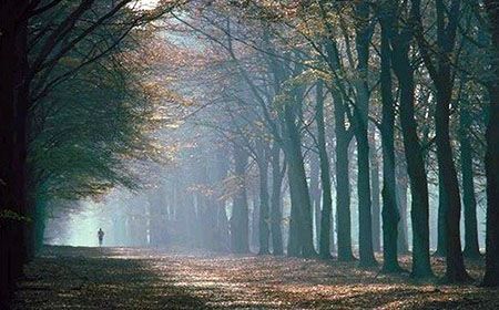 김*산 이미지