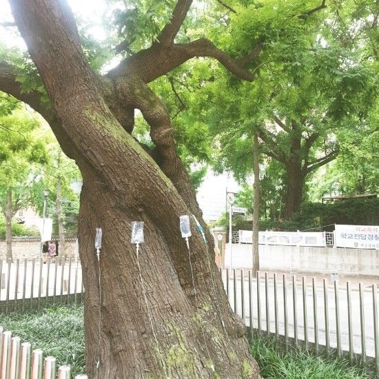 박&이서울치과의원 이미지