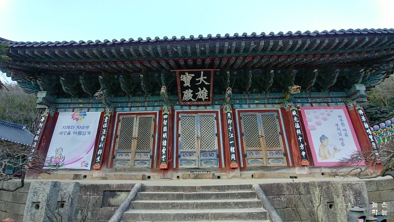 Daum 카페
