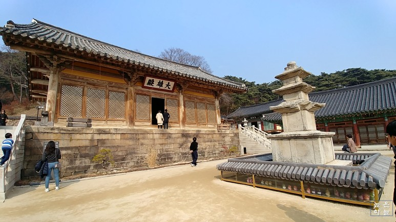 Daum 카페