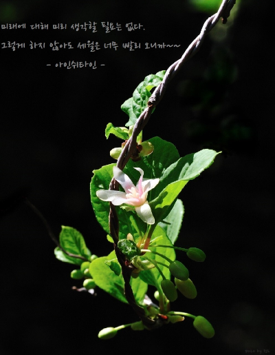 달빛커피 이미지
