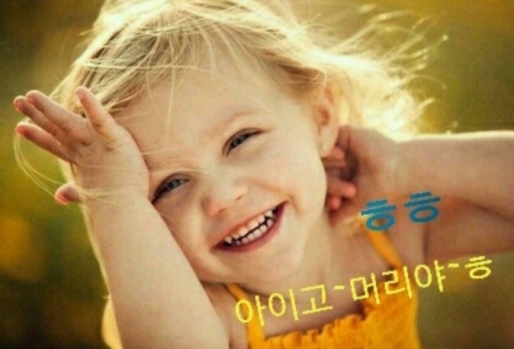 거시기네 이미지