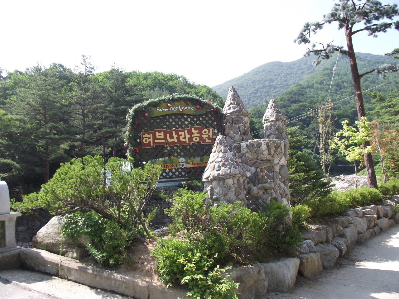 허브나라 이미지