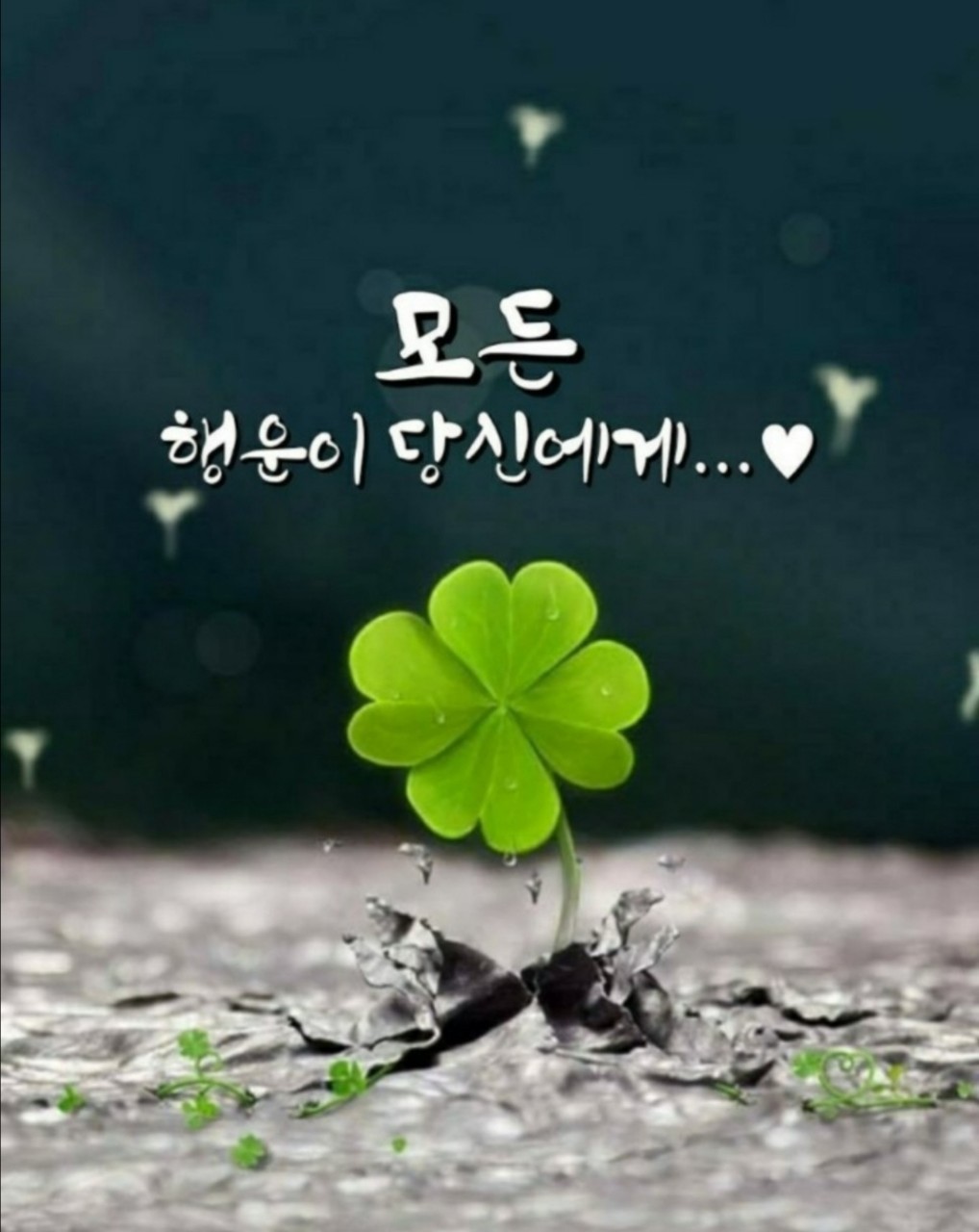 우미관 이미지