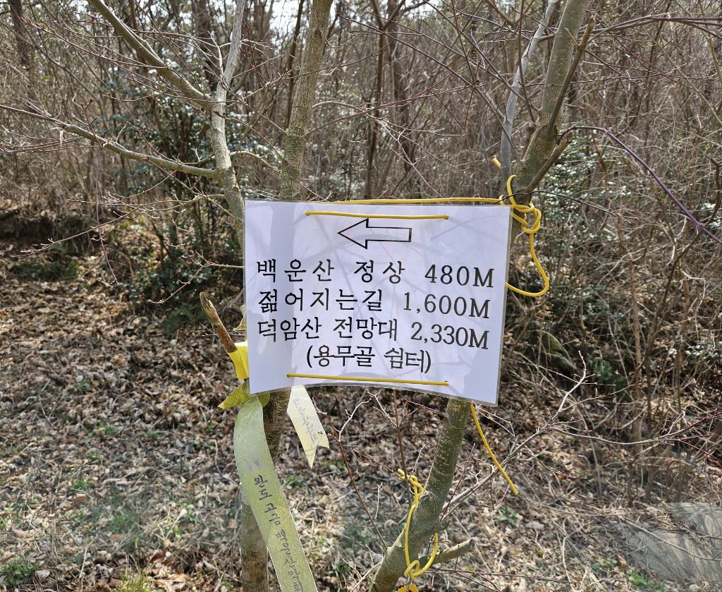 서남체육공원 이미지