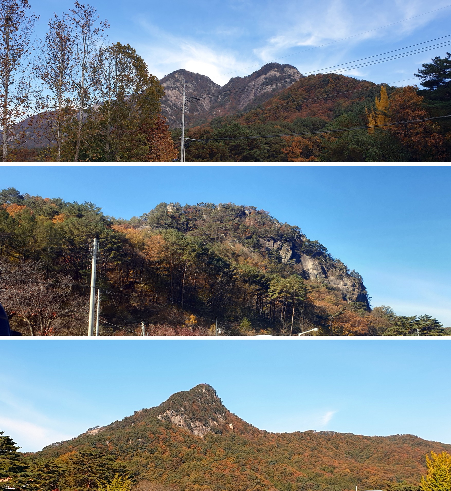밭 이미지