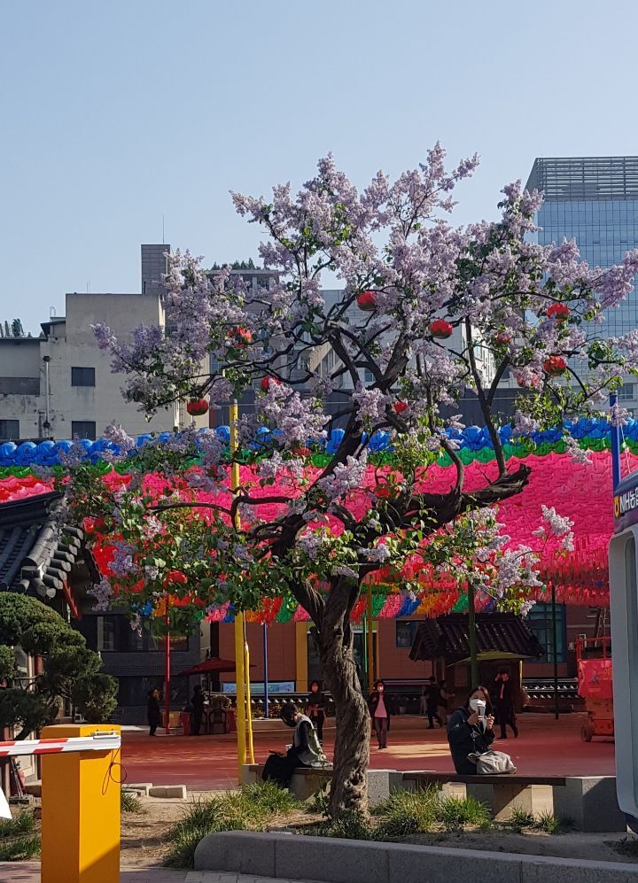보물세상 이미지