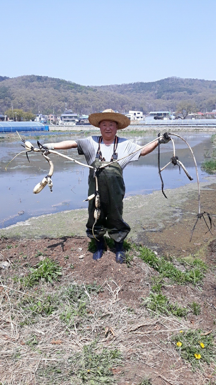 성원인력 이미지