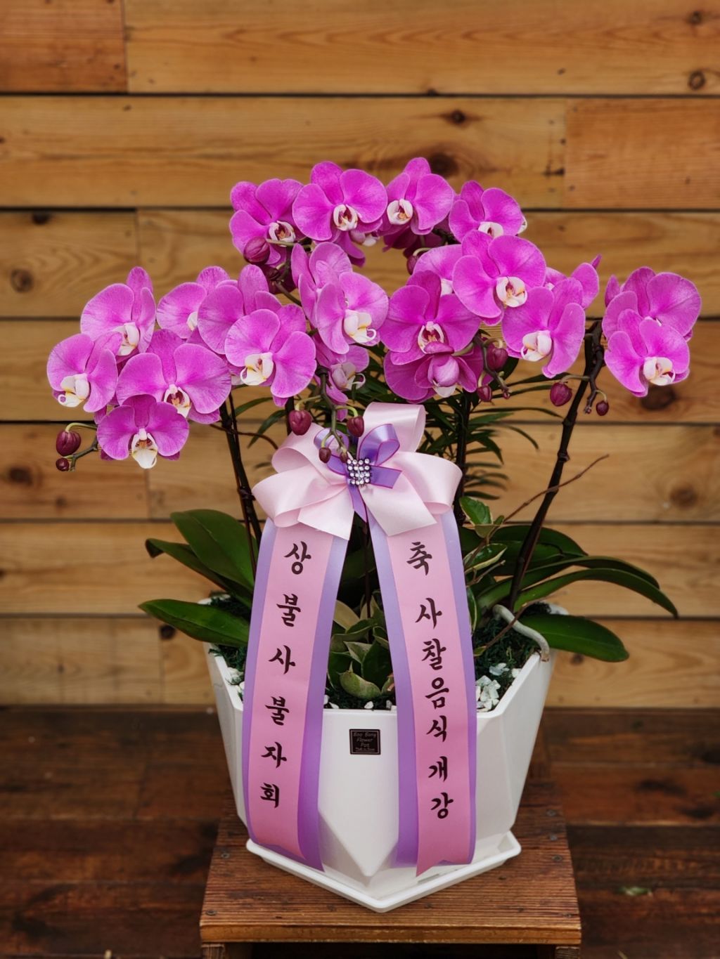 경원야채 이미지
