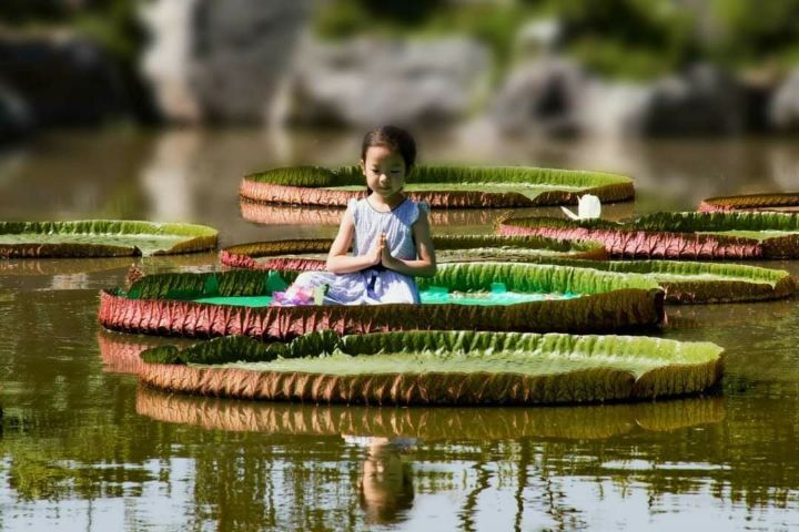실다 이미지