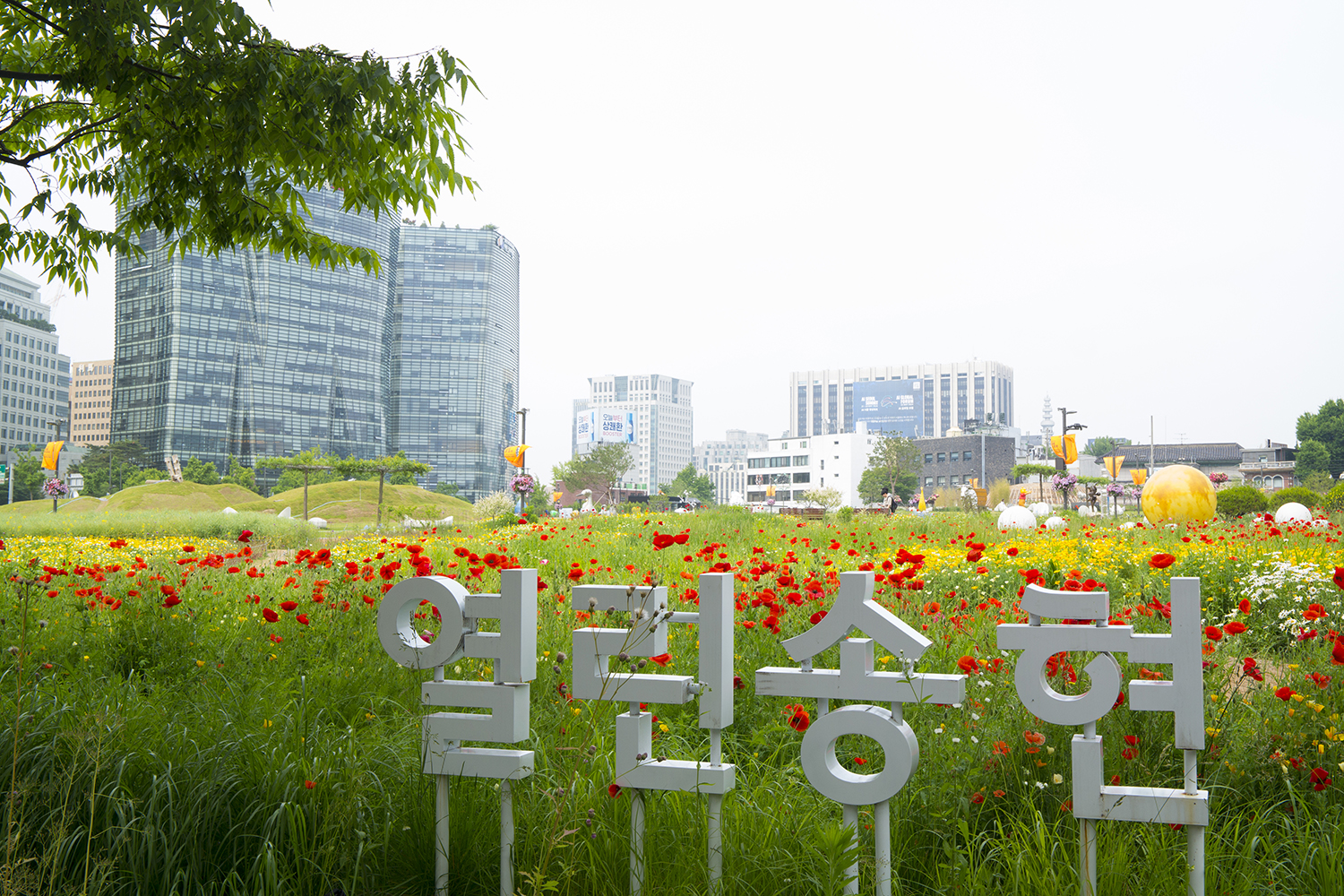 송현 이미지
