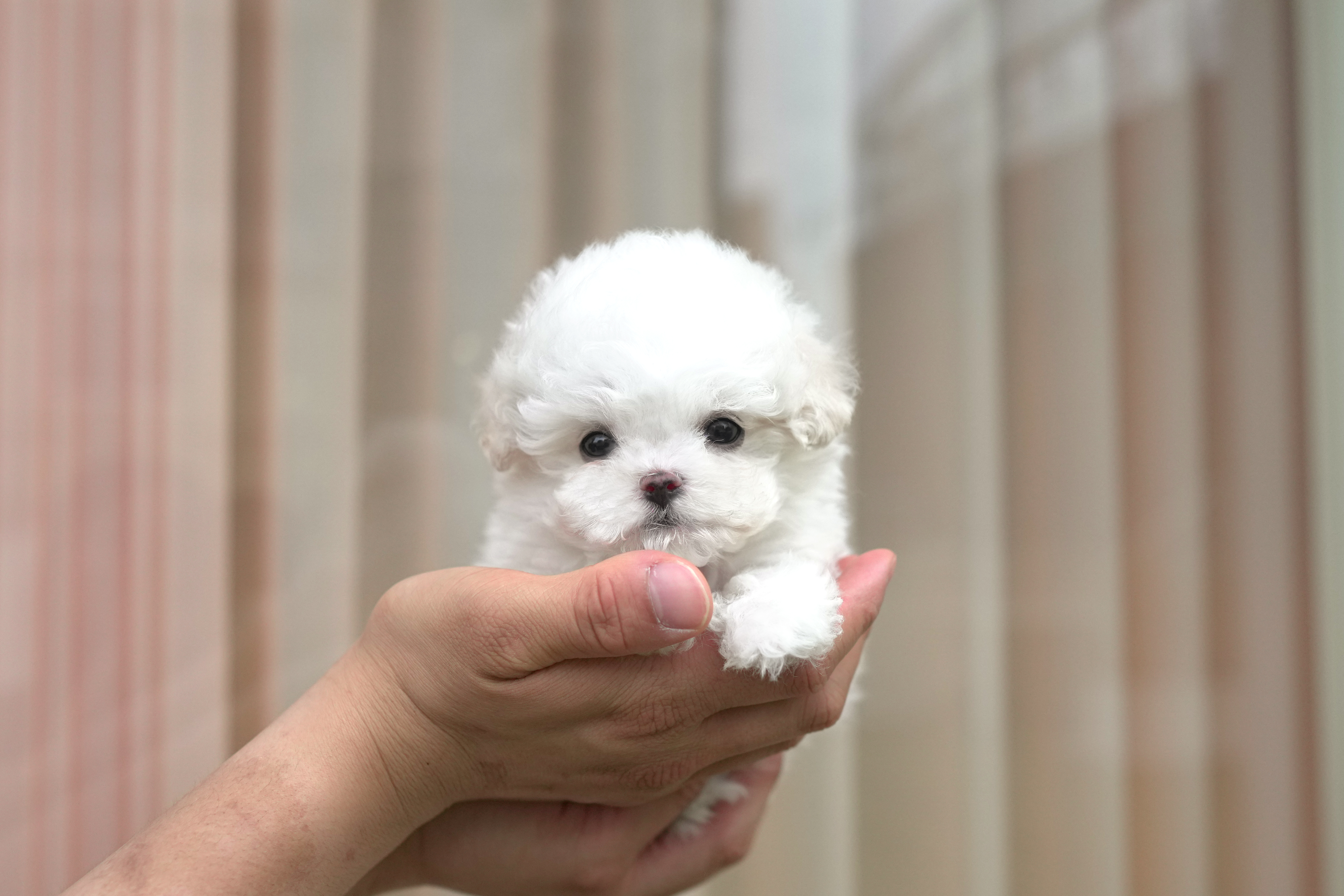 퍼센트헤어 이미지