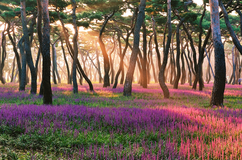 숨in(인) 이미지