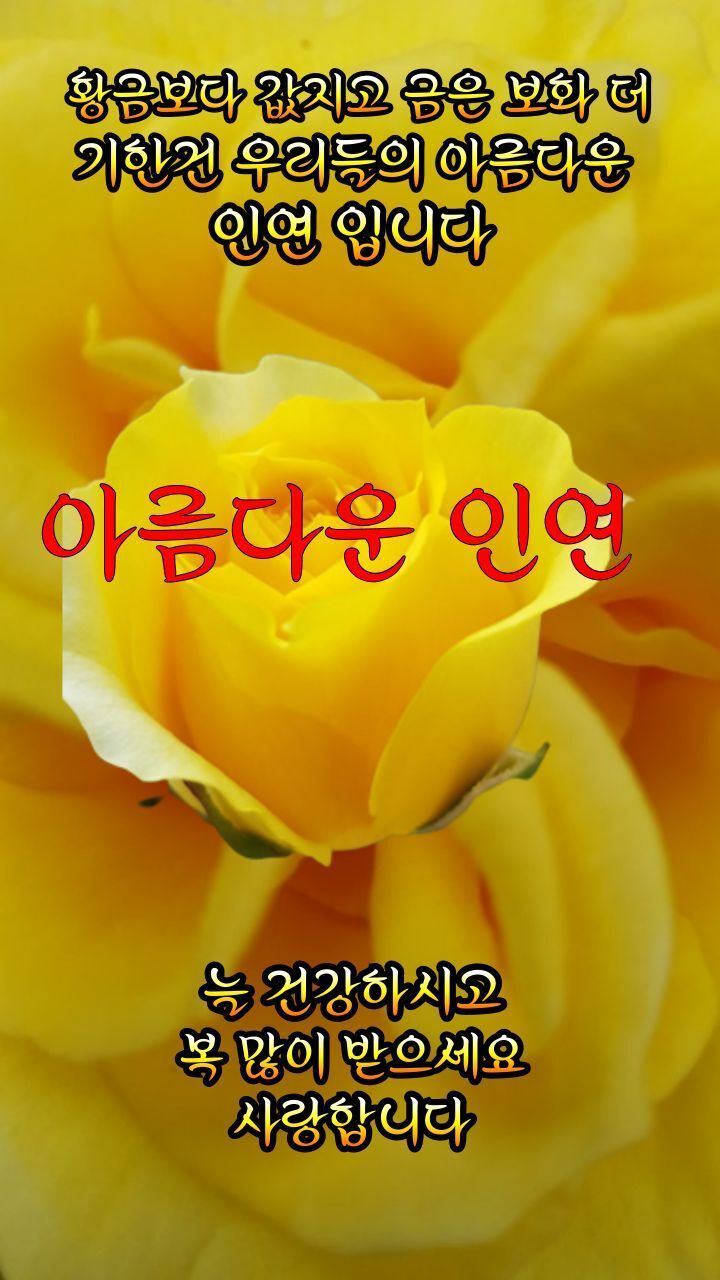 affinity,因緣, 인연 이란 - 좋은글 카톡방 - 낙원 산 약초  affinity,因緣, 인연 이란