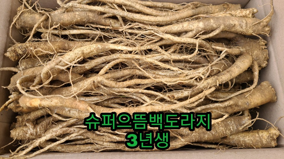 으뜸통신 이미지