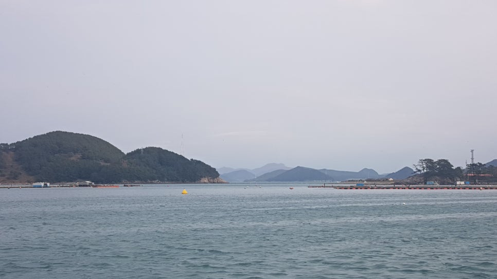 야우 이미지