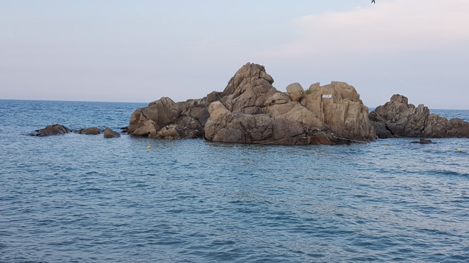 벽송 이미지