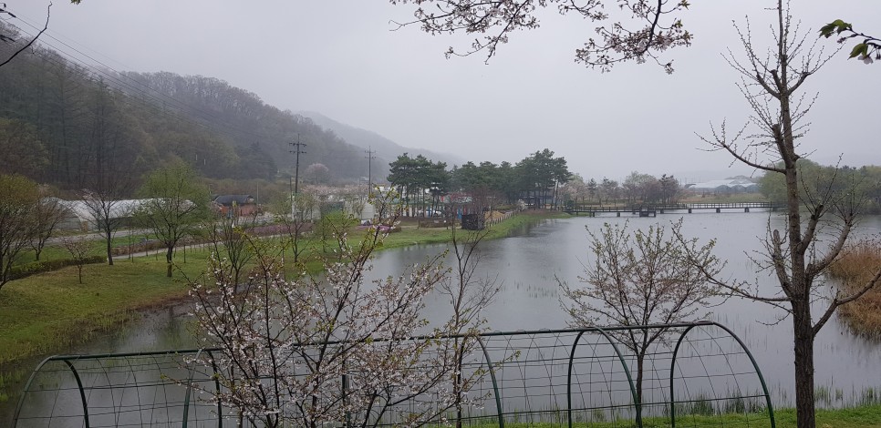 규원 이미지