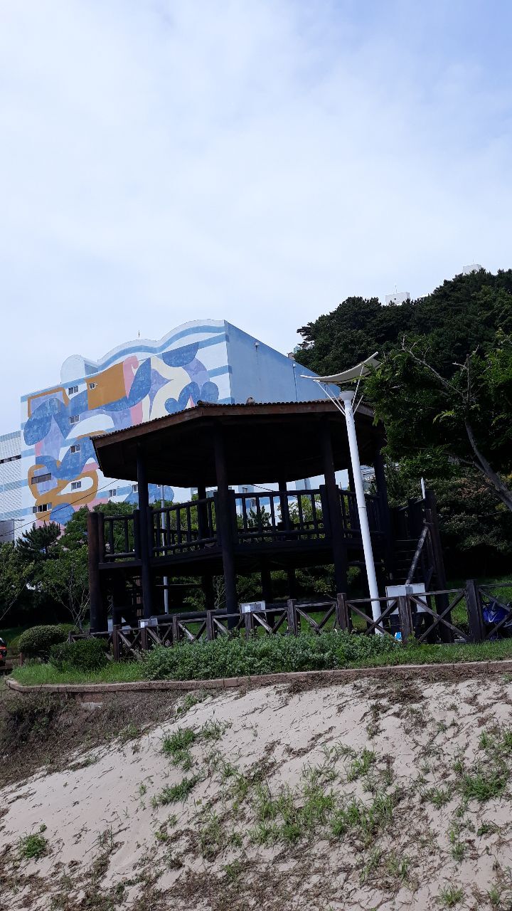 고우니 이미지