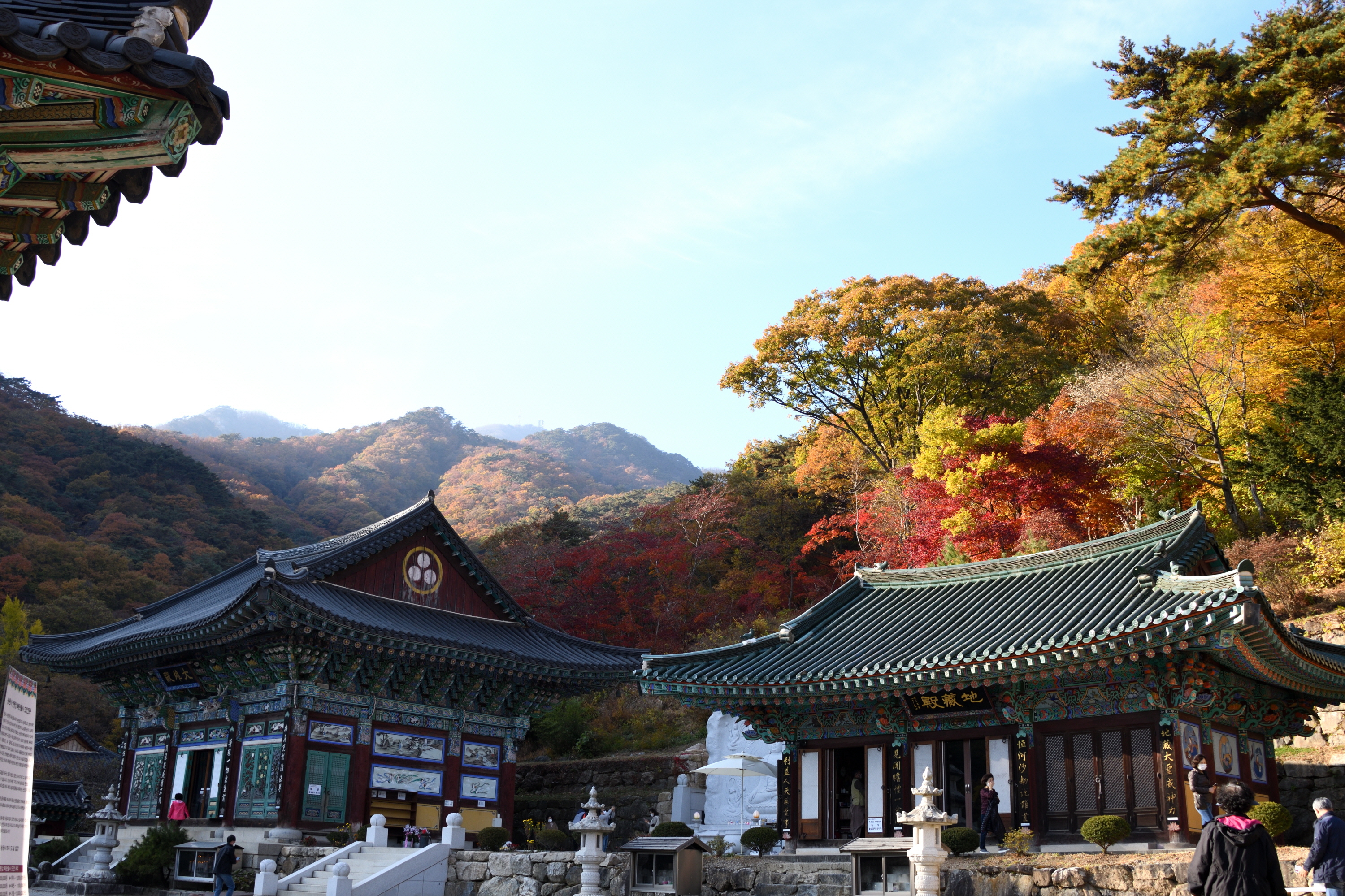 용문사 이미지