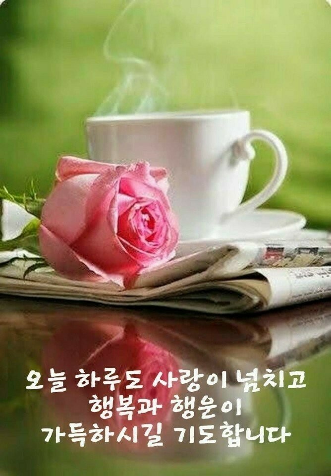 미디어포시즌 이미지